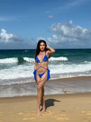 trans girl NovaEricka 0134579 trans girl NovaEricka 0134579