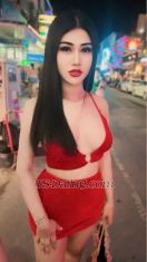 Nutty Samui Koh Samui Transex Hi.  Im nutty from Koh samui. I’m ladyboy Thailand. And
kind person. Can do massage or what ever you want.  Contact
me on WhatsApp. To get to know me more.   Nice ladyboy on
Koh samui.  See you guys