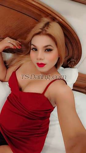 trans girl NyshaSharma 4481023 trans girl NyshaSharma 4481023