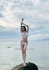 nhathaladyboy Ho Chi Minh Transex Hello! I'm Nhat Ha, a transgender womanI am 23 years
old, 1.70m tall, weigh 55kg and have an 18cm penisI can
do Top or Bottom depending on your needs (Top, Bot, kiss,
lick and 69...)1. Beauty, charm and a sweet voice are
the things I always have2. I always use 100% real
photosIf you truly have a need, please find
meDo not tease to satisfy pleasureLine:
nhatha02Telegram: @nhatha02X:
@nhatha11102Come with me to have the most relaxing
and comfortable moments!!!