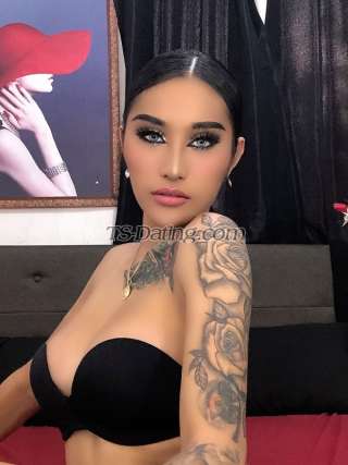 trans girl nikitalust 8819305 trans girl nikitalust 8819305