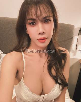 trans girl Oil6549 4196824