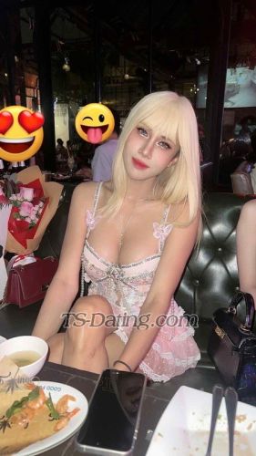 trans girl Oil6549 8852716