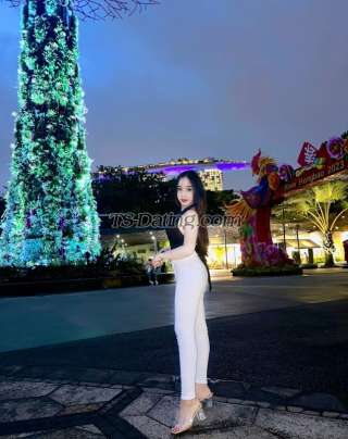 trans girl OleWongnarat 5632878 trans girl OleWongnarat 5632878