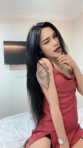 OllaAamira49 3891058