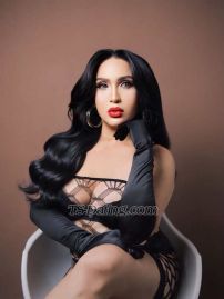 OnTopErich Bangkok Transex Hello mabuhay ♥️♥️♥️ Let me introduce
myself, i am erica versatile ready to ride and sit you
up!Wanna reach your fantasy and Desire into
Reality? I am your sexy wild sexy girl who can give and
satisfaction and perfection!Dont waste your time
to meet and achieve your dream to be with a wild sexy girl.
Let me be your partner and hand to your sexy dreams. I am
one click away. I am 100% clean, Safe, honest and
genuine. I am the most kind and god Fearing person. What you
see is actually what you get.I might be the
perfect girl that will handle your wild dreams and
fantasies.  ♥️message me here♥️Telegram…
+639458466961Whatsup … +918976097908Line….
ericaaa143