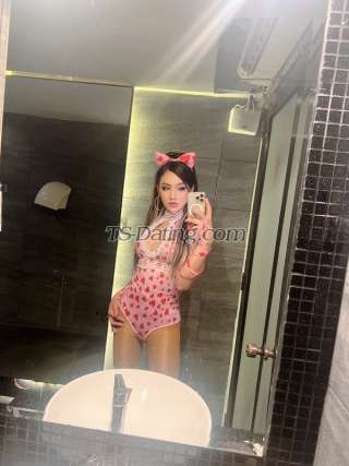 trans girl Orkidmendez 7831618 trans girl Orkidmendez 7831618