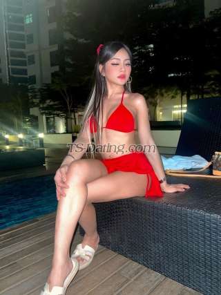 trans girl Orkidmendez 9492141 trans girl Orkidmendez 9492141