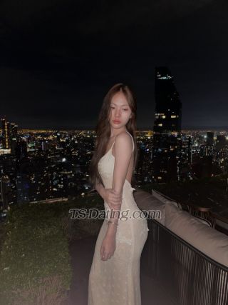 trans girl omelet 1590941