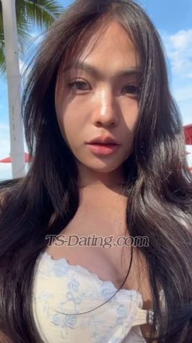 trans girl omelet 1591349