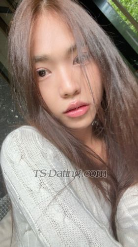 trans girl omelet 5251262