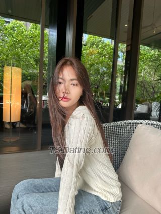 trans girl omelet 9517322