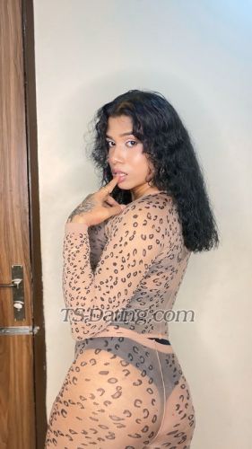 trans girl 123sitara 5104582