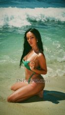 21Queenbigdik Bali Transex Expérience de petite amie de la reine de beauté avec une grande surprise Gagnante du concours TS Beauty Queen 2023, avec un énorme package surprise pour vous 👸🏻 Rasé de près, 8 pouces, entièrement fonctionnel 🍆 Je préfère être au top, et je suis très douée pour être au top, mais je peux être au bottom pour les bons messieurs. Je suis toujours propre et hygiénique, alors laissez-moi le temps de me préparer avant notre rendez-vous. Cela vous donne également le temps de vous préparer, afin que nous soyons tous les deux frais et propres pour notre rendez-vous spécial sans précipitation. Je vous propose une expérience de petite amie spéciale. Une fille amicale avec un grand sens de l'humour. Je ne suis pas une personne qui surveille l'heure, quand nous sommes ensemble, tu es tout pour moi. J'aime parler aux gens, créer des liens et m'amuser. J'aime quand on s'amuse tous les deux. C'est toujours le meilleur moment pour le sexe. J'aime le toucher et les baisers français profonds. J'ai des jambes incroyablement longues et un cul superbe. En fait, je suis vraiment belle. Messieurs sérieux uniquement. ⚠️ Mon temps est précieux, tout comme le vôtre donc pas de textos prolongés, je ne suis disponible que pour des demandes sérieuses ! Je suis une escorte indépendante. Également disponible pour des dîners en amoureux, des escortes à des événements spéciaux, une nuit complète, etc. SERVICES:🌺🌺🌺 📍Sexe anal strictement avec protection HAUT & BAS différentes positions 📍Pipe / 69 📍Branlette 📍TCC = torture du pénis et des couilles 📍EDGING = stimulation sexuelle, arrêt de l'éjaculation pendant un moment et reprise 📍Offrir une douche dorée 📍Tu me lèches le cul 📍J'adore Rim si tu es propre. 📍Expérience Girlfriend illimitée 📍Jeux de seins/sucer/embrasser 📍Baiser français profond 📍COM/COB/ Pour d'autres désirs, n'hésitez pas à me demander.
