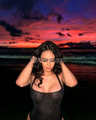 trans girl 21Queenbigdik 7914477 trans girl 21Queenbigdik 7914477