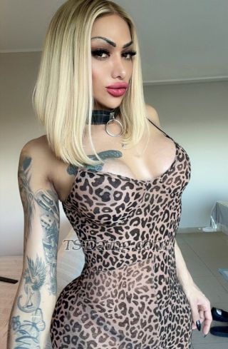 trans girl PATYALVES 5542269 trans girl PATYALVES 5542269