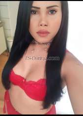 PAULA XXL Vilnius TS escort 