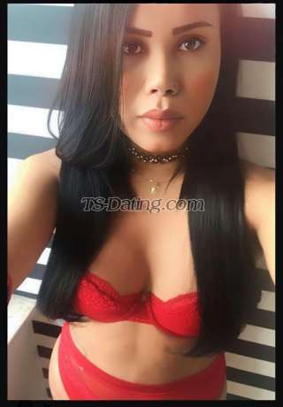 trans girl PAULAXXL 9237933 trans girl PAULAXXL 9237933