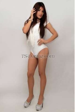 trans girl PamellaWindso 3972966 trans girl PamellaWindso 3972966