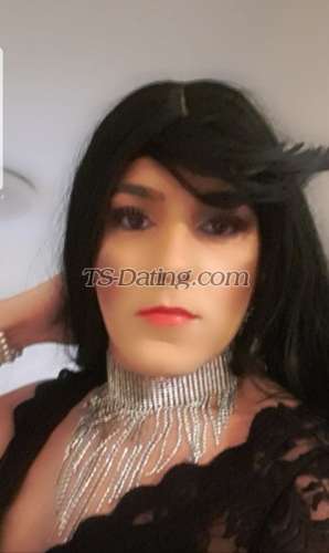 trans girl PaolaTgirlD 2390118 trans girl PaolaTgirlD 2390118