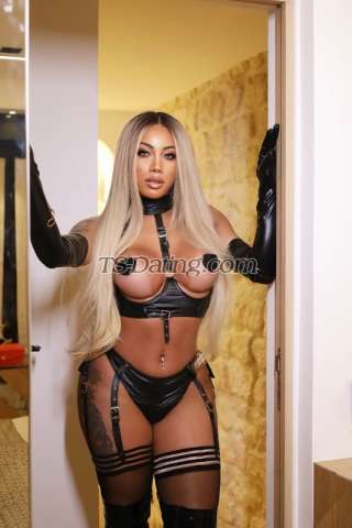 trans girl Paolaamorim 2564373 trans girl Paolaamorim 2564373