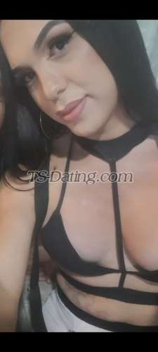 trans girl Paolarios 8493035 trans girl Paolarios 8493035