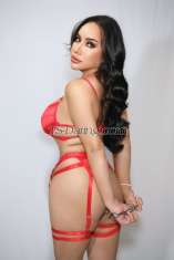 Parixx2 Guangzhou Transex 