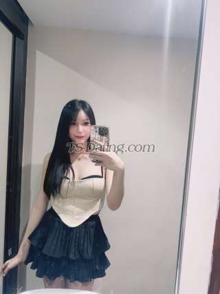 trans girl Partylim 5202465 trans girl Partylim 5202465