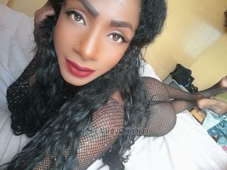 trans girl Pauletteecua 5292478 trans girl Pauletteecua 5292478
