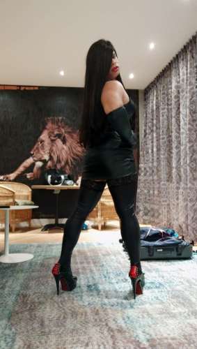 trans girl Paulina23cm 6872620 trans girl Paulina23cm 6872620