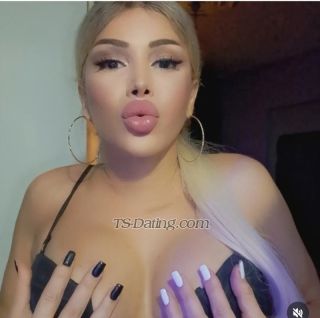 trans girl PetekElice 1660317 trans girl PetekElice 1660317