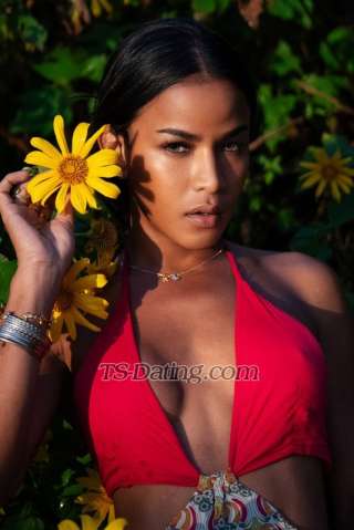 trans girl Pianotsthai 1739293 trans girl Pianotsthai 1739293