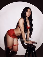 Pietra Dias Vilnius Transex Hello loves, I'm Pietra new in the city, I'm very calm in my service, I like to leave my customers always at ease, I do well girlfriend style!

I'm a very Active and Passive Bahian, if you're a beginner I'm here for you to have this new experience, if you're already experienced come and try this novelty in the city too, a hot and very adorable Bahian you'll love 😘

My photos are 100% real