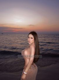 Pimji1994 Chiang Mai Transex ✅Line:Piglet199xpmy                                  
              Hi, I am Queen , a sweet PRE-OP Ladyboy from
Thailand. I travel around world and stay in one place
(your Town) for a limited time only.Since I am
from the Land of Smiles, for sure you will indulge in my
warm hospitality with laughter and joy. If you are looking
for Girl Friend Feeling (GFE), come to me and you’ll have
an unforgettable wonderful experience with me.I
have a 5.5 inches thick hard cock. I can be either Top or
Bottom, but I prefer to be Bottom myself.First-timer or
experienced player is welcome to have fun with me. I
only do safe sex. No condom, no sex. I offer: *
lovely Girl Friend Experience * BBBJ* Anal
SexYou can contact me via channels
below:🦋🍃WhatsApp : +6698-7670317 
🤍🌷Telegram : @zzomzx(Please do NOT call via
Whatsapp. Text only.)🍃🩷 Line: Piglet199xpmy
Hope to have fun with you soon