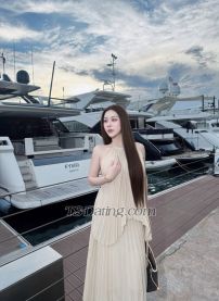 Pimji1994 Chiang Mai Transex ✅Line:Piglet199xpmy                                  
              Hi, I am Queen , a sweet PRE-OP Ladyboy from
Thailand. I travel around world and stay in one place
(your Town) for a limited time only.Since I am
from the Land of Smiles, for sure you will indulge in my
warm hospitality with laughter and joy. If you are looking
for Girl Friend Feeling (GFE), come to me and you’ll have
an unforgettable wonderful experience with me.I
have a 5.5 inches thick hard cock. I can be either Top or
Bottom, but I prefer to be Bottom myself.First-timer or
experienced player is welcome to have fun with me. I
only do safe sex. No condom, no sex. I offer: *
lovely Girl Friend Experience * BBBJ* Anal
SexYou can contact me via channels
below:🦋🍃WhatsApp : +6698-7670317 
🤍🌷Telegram : @zzomzx(Please do NOT call via
Whatsapp. Text only.)🍃🩷 Line: Piglet199xpmy
Hope to have fun with you soon