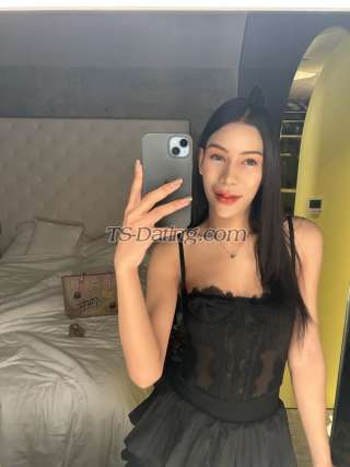 trans girl Pitchay 4506454 trans girl Pitchay 4506454