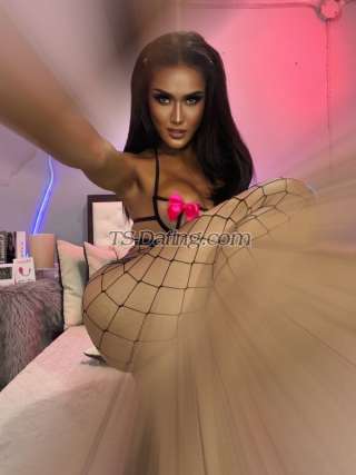 trans girl TrixieGee 8245488 trans girl TrixieGee 8245488