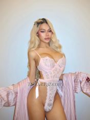 Ponybunyx Riyadh Transex Read my bio ‼️‼️If you are going to give me
cheap rate don’t contact meHey guy I’m Ponybuny
half Thai half Singapore Number 1 trans pornstar in
Thailand / can check in my link -Model / Influencer /
Pornstar ✨-166cm /50kg / 7 inches 🍆-Let’s
me know if you like big c and tight ass ❤️ Can
be both f hard big c - stay clean and on PREP-
Luxury dating ✨ The best of experience is here.
Lets have fun together if u down for me
👇🏽👇🏽IG @ponybunyxWhatsApp
+16615703044