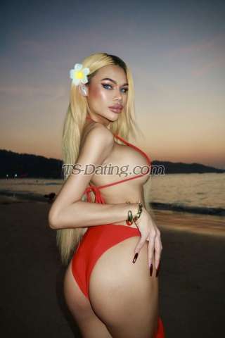 trans girl Ponybunyx 0231845 trans girl Ponybunyx 0231845