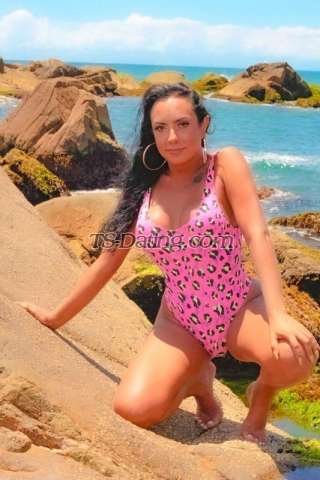 trans girl PornDrummond 4699418