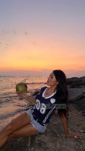 trans girl Porrspchh 3117600