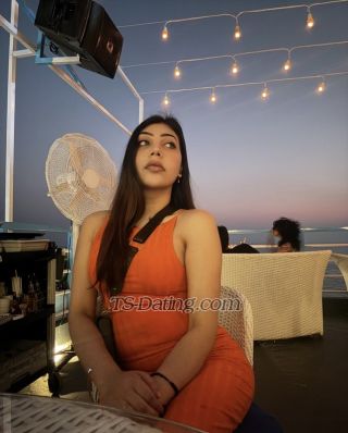 trans girl Premadating1 0498760 trans girl Premadating1 0498760