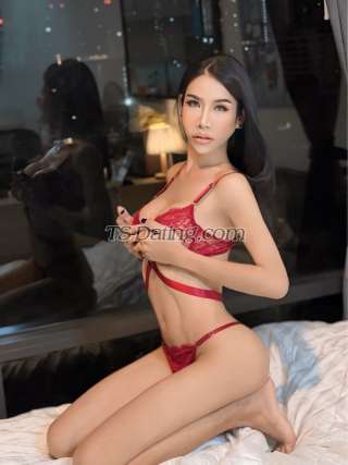 trans girl PrettyCeleste 4721726 trans girl PrettyCeleste 4721726