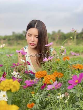 trans girl PrettyTopTS 4331057 trans girl PrettyTopTS 4331057