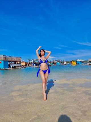 trans girl Prettykim05 8108000 trans girl Prettykim05 8108000