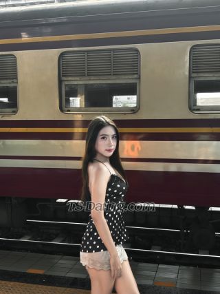 trans girl Prim2204 9421908 trans girl Prim2204 9421908