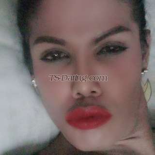 trans girl Priskats 8704876 trans girl Priskats 8704876