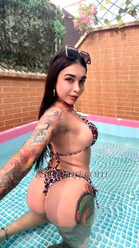 trans girl Prissila 1666923