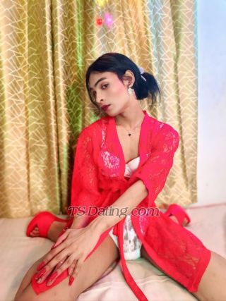 trans girl PriyaRoy21 6163305 trans girl PriyaRoy21 6163305