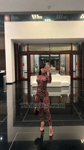 trans girl pamela9374 8126188